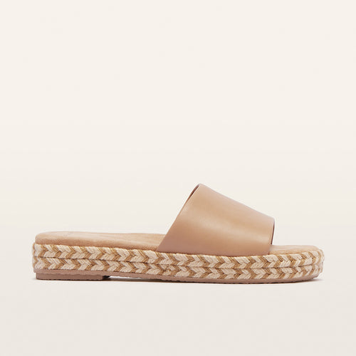 Lucia Camel